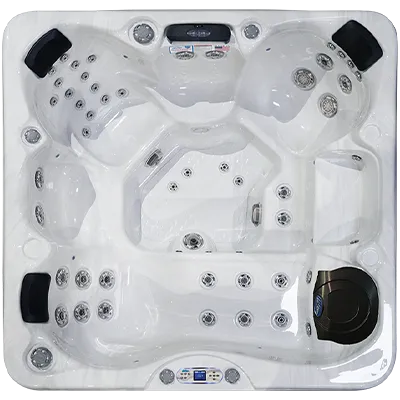 Avalon EC-849L hot tubs for sale in Council Bluffs