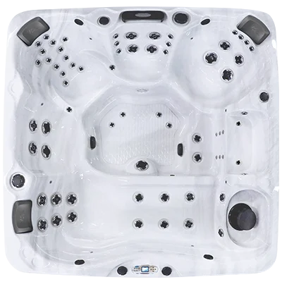 Avalon EC-867L hot tubs for sale in Council Bluffs